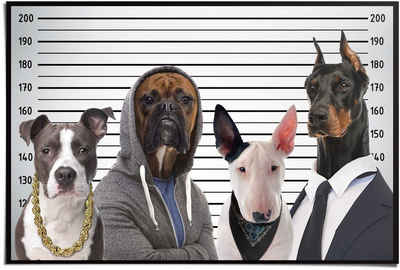 Reinders! Poster Hunde Mug Shot, (1 St)