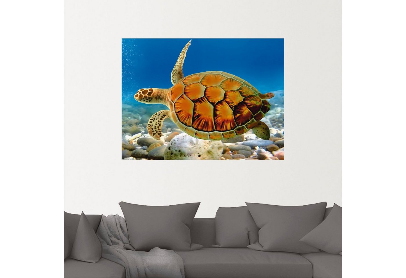 Artland Wandbild »Schildkröte«, Wassertiere (1 Stück), in vielen Größen & Produktarten - Alubild / Outdoorbild für den Außenbereich, Leinwandbild, Poster, Wandaufkleber / Wandtattoo auch für Badezimmer geeignet-kaufen