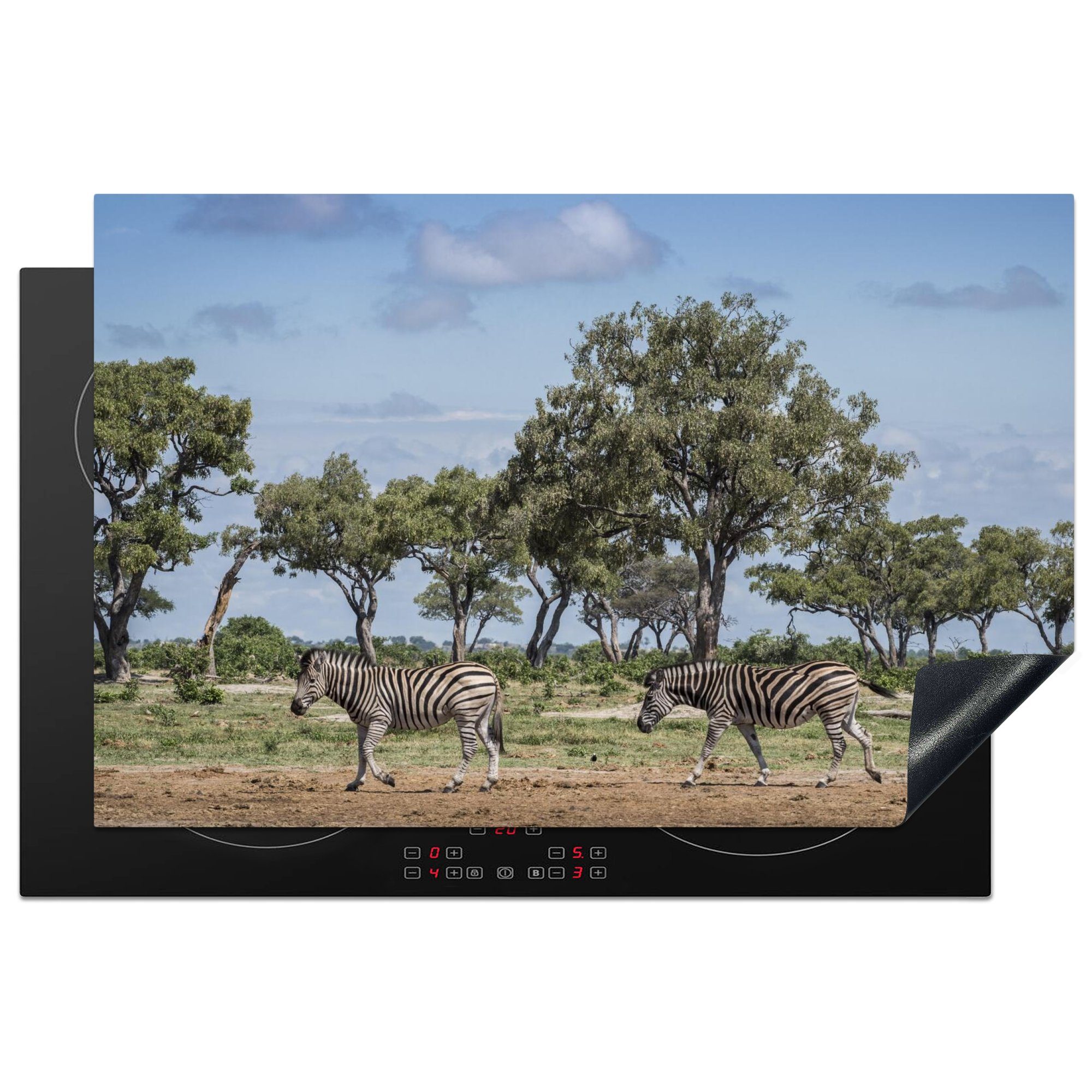 MuchoWow Herdblende-/Abdeckplatte Landschaft mit Zebras im Chobe-Nationalpark, Vinyl, (1 tlg), 81x52 cm, Induktionskochfeld Schutz für die küche, Ceranfeldabdeckung