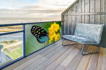 MuchoWow Balkonsichtschutz Schmetterling - Blume - Tier - Insekt (1-St) Balkonbanner, Sichtschutz für den Balkon, Robustes und wetterfest