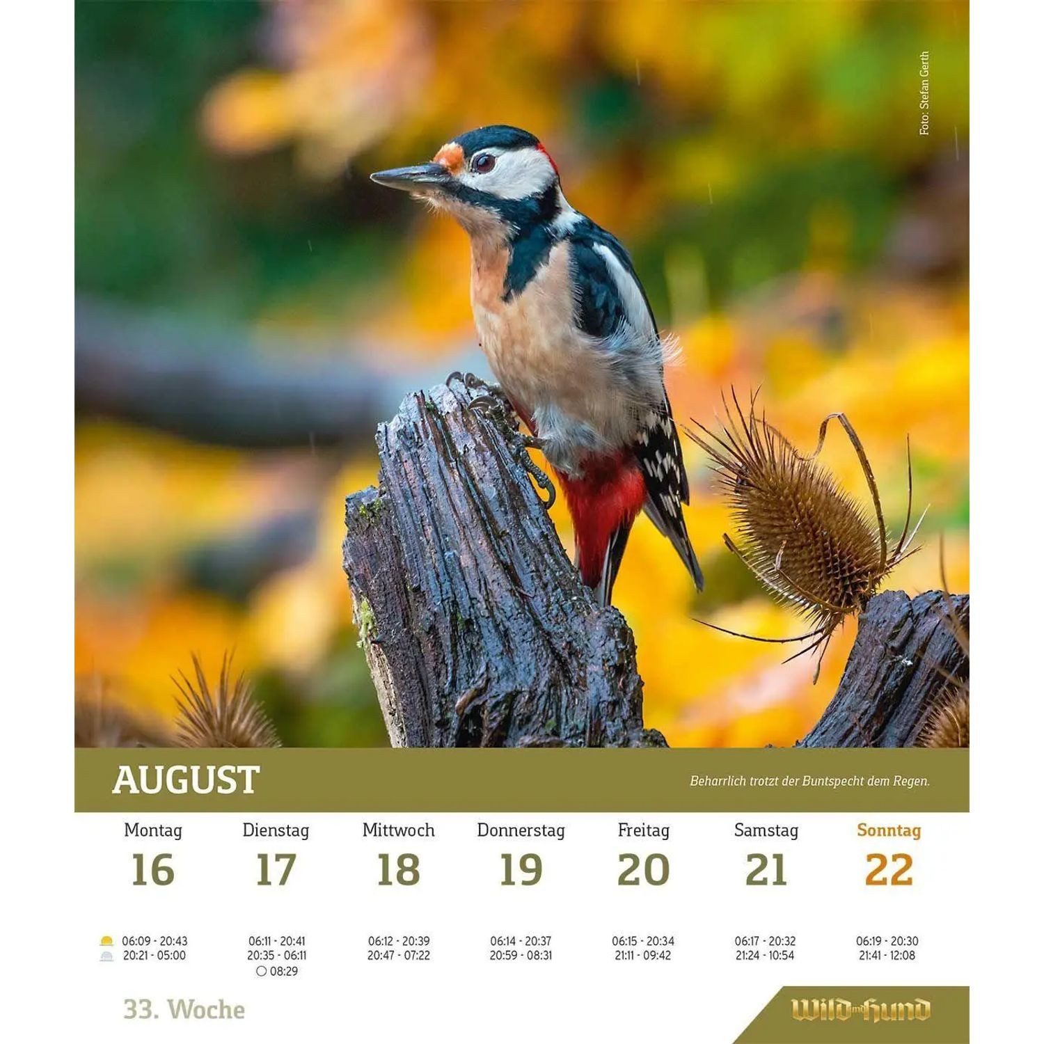 Wandkalender WILD UND HUND Edition: Jagdkalender Wandvariante 2027 – Bild 3 von 3