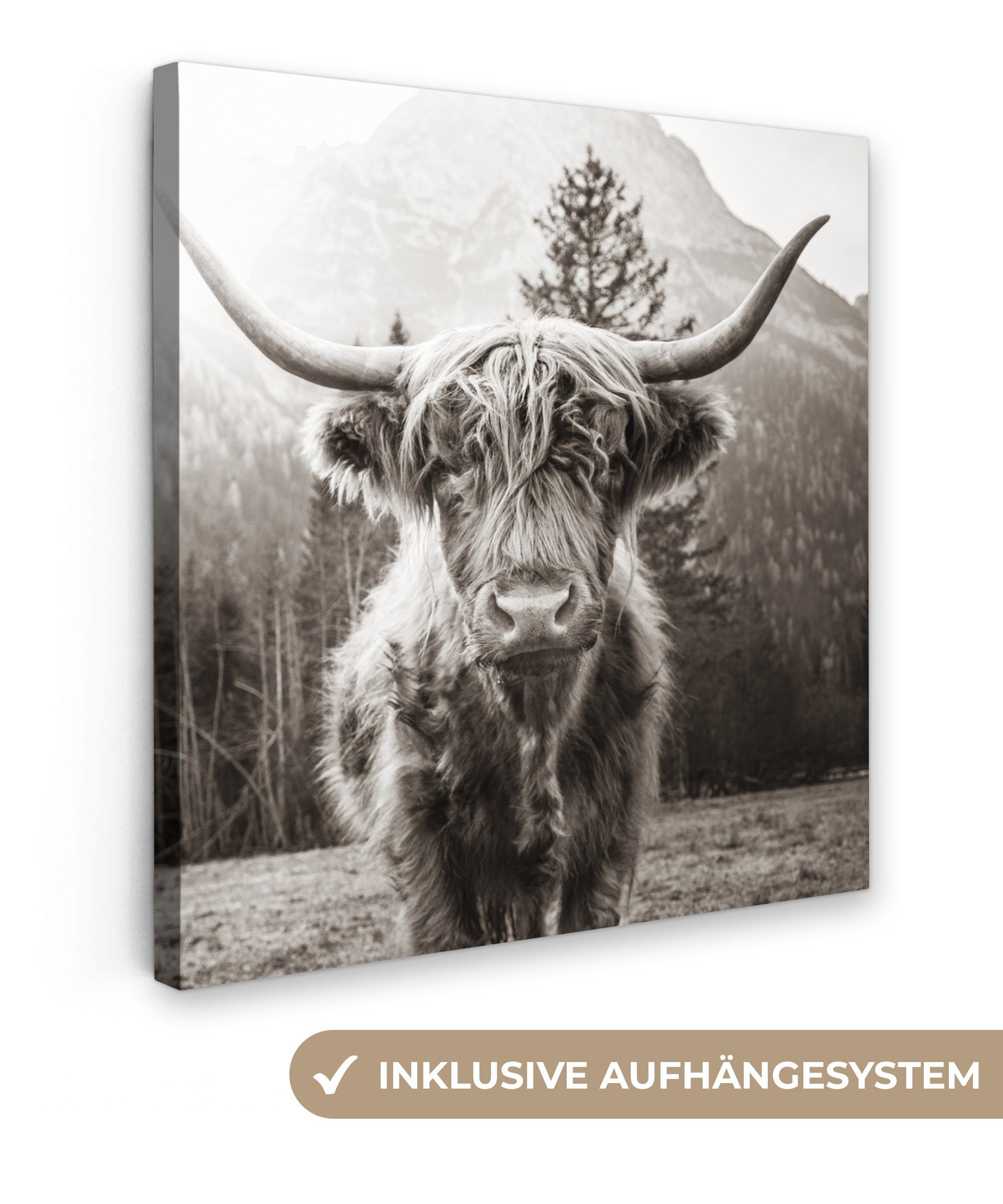 OneMillionCanvasses® Leinwandbild Schottischer Highlander - Tiere - Schwarz - Weiß, (1 St), Leinwand Bilder für Wohnzimmer Schlafzimmer, 20x20 cm