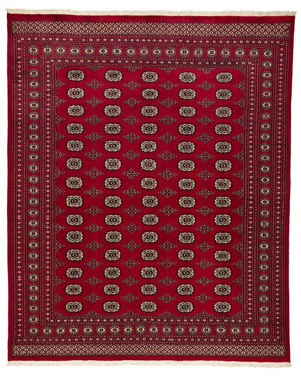 Orientteppich Pakistan Buchara 2ply 245x298 Handgeknüpfter Orientteppich, Nain Trading, rechteckig, Höhe: 8 mm