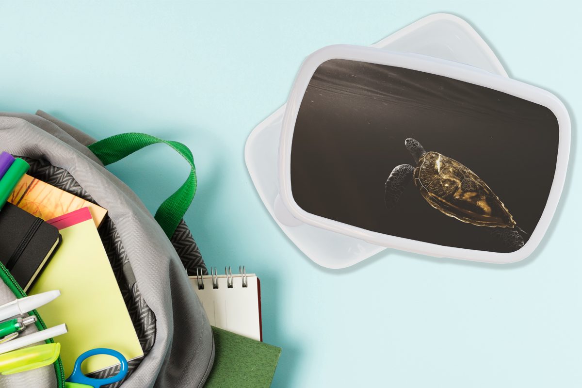 MuchoWow Lunchbox Schildkröte - weiß Gold, Brotbox Brotdose, Kinder Schwarz (2-tlg), Jungs und für für Kunststoff, Erwachsene, und - Mädchen