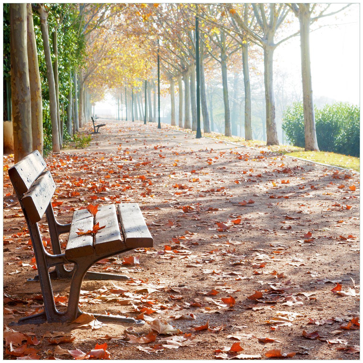 Wallario Tischplatte Einsame Parkbank an einer Allee - Herbststimmung (1 St), für Ikea Lack Tisch geeignet