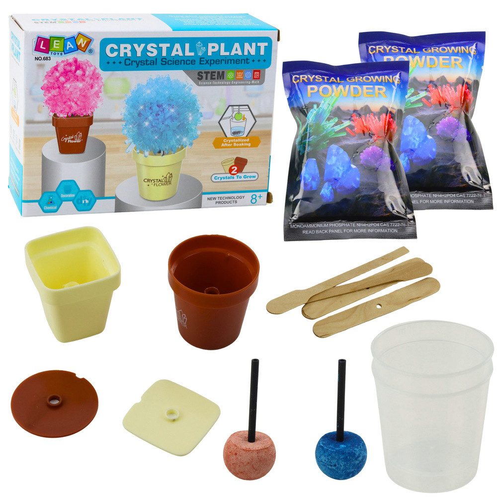 LEAN TOYS Experimentierkasten Kristallzuchtset Forscherset Chemiebaukasten, (Spar-Set, 2-tlg), Kristallzucht, 2 Farben, ab 8 Jahren, komplettes Set