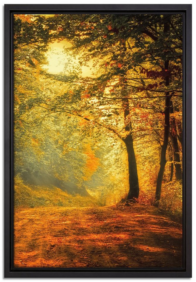 Pixxprint Leinwandbild Wald im Herbst, Wanddekoration (1 St), Leinwandbild  fertig bespannt, in einem Schattenfugen-Bilderrahmen gefasst, inkl.  Zackenaufhänger