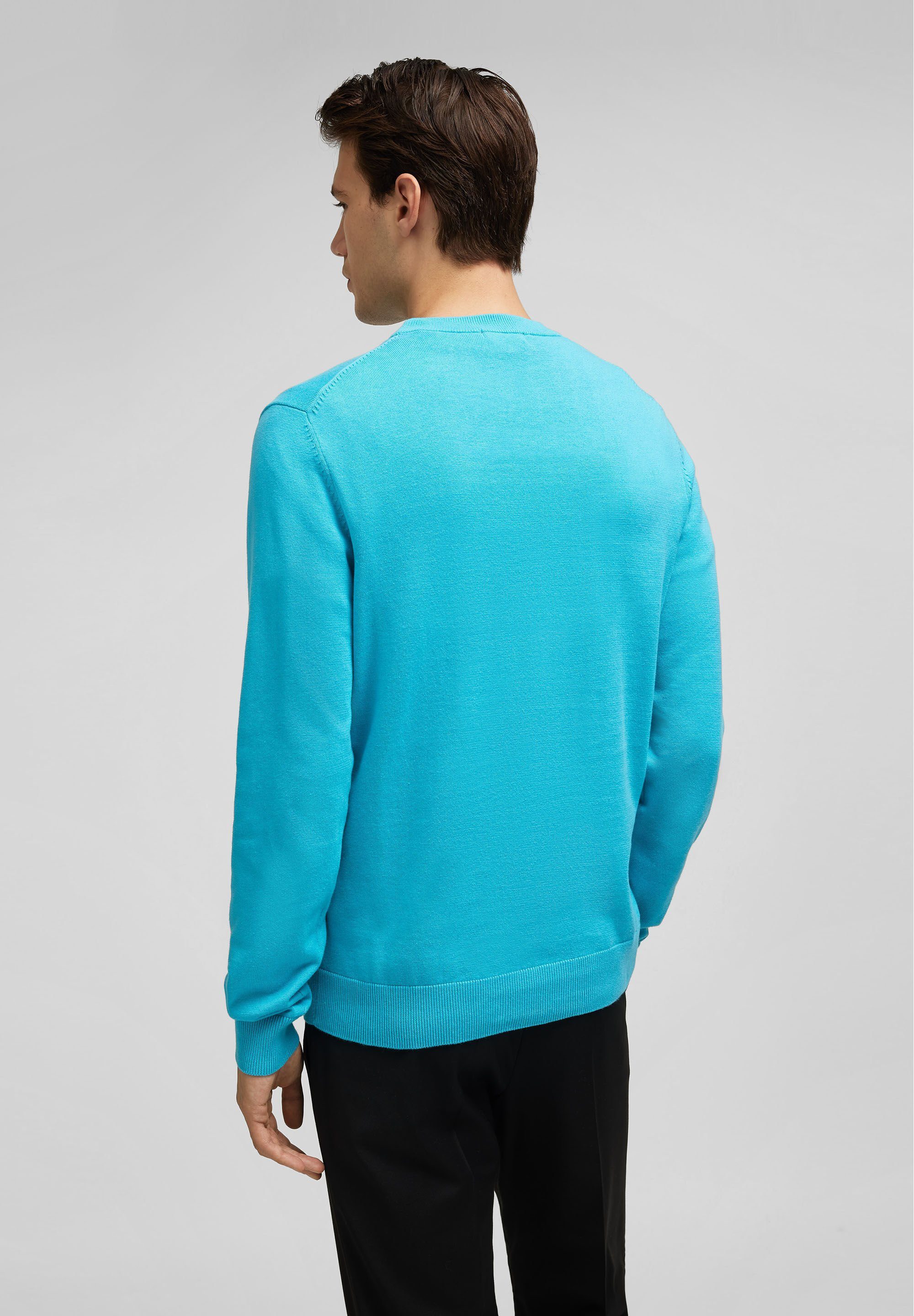 HECHTER PARIS Strickpullover in modischen Design