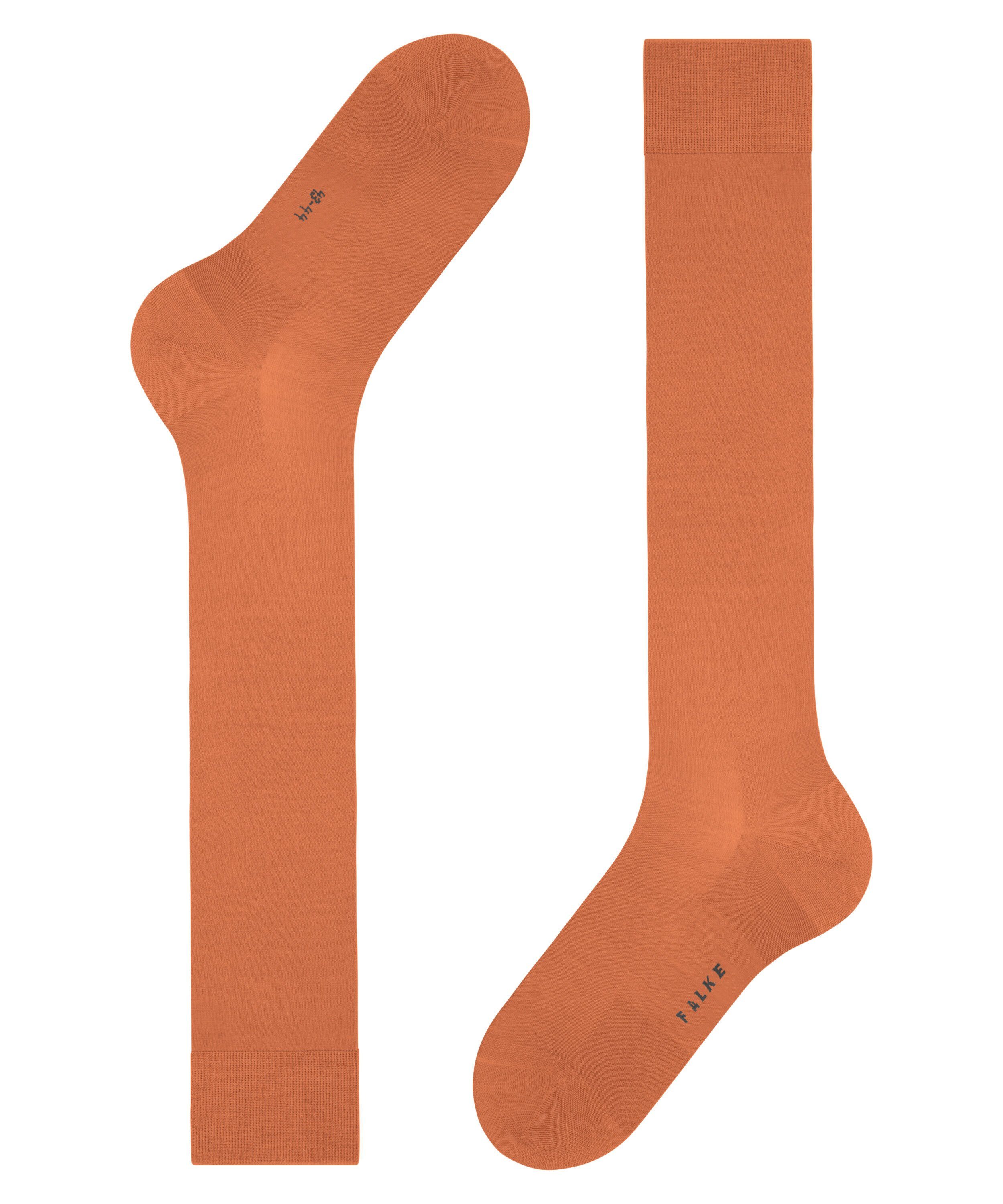 nachhaltigem (8576) Kniestrümpfe (1-Paar) tandoori mit ClimaWool Garn FALKE