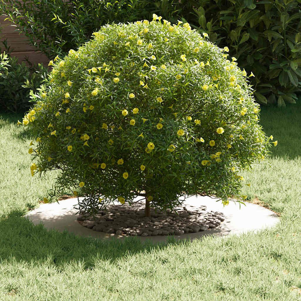 vidaXL Blumentopf Flache Baumringe 5 pcs günstig online kaufen