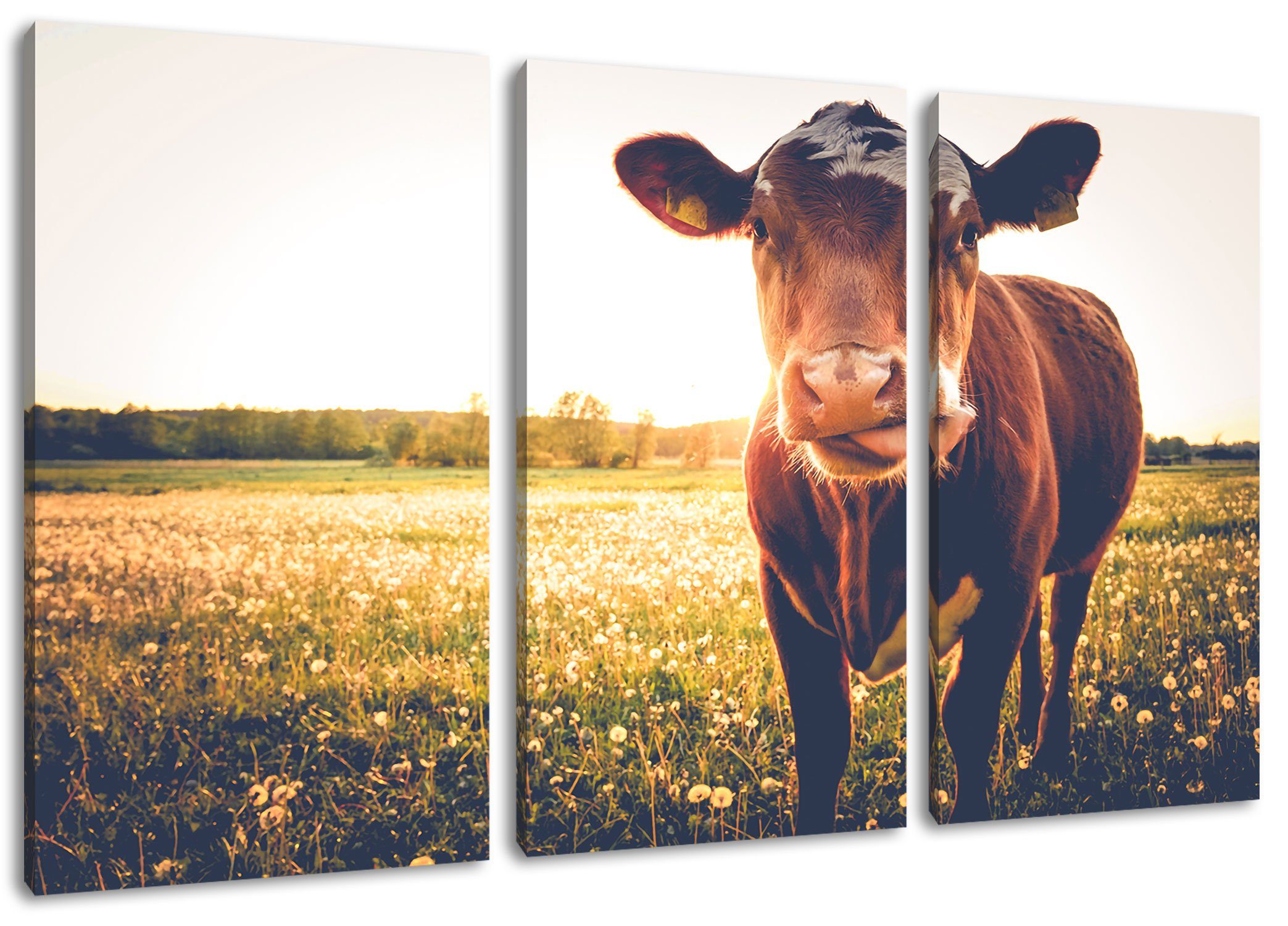 Pixxprint Leinwandbild Kuh auf Butterblumenwiese, Kuh auf Butterblumenwiese 3Teiler (120x80cm) (1 St), Leinwandbild fertig bespannt, inkl. Zackenaufhänger
