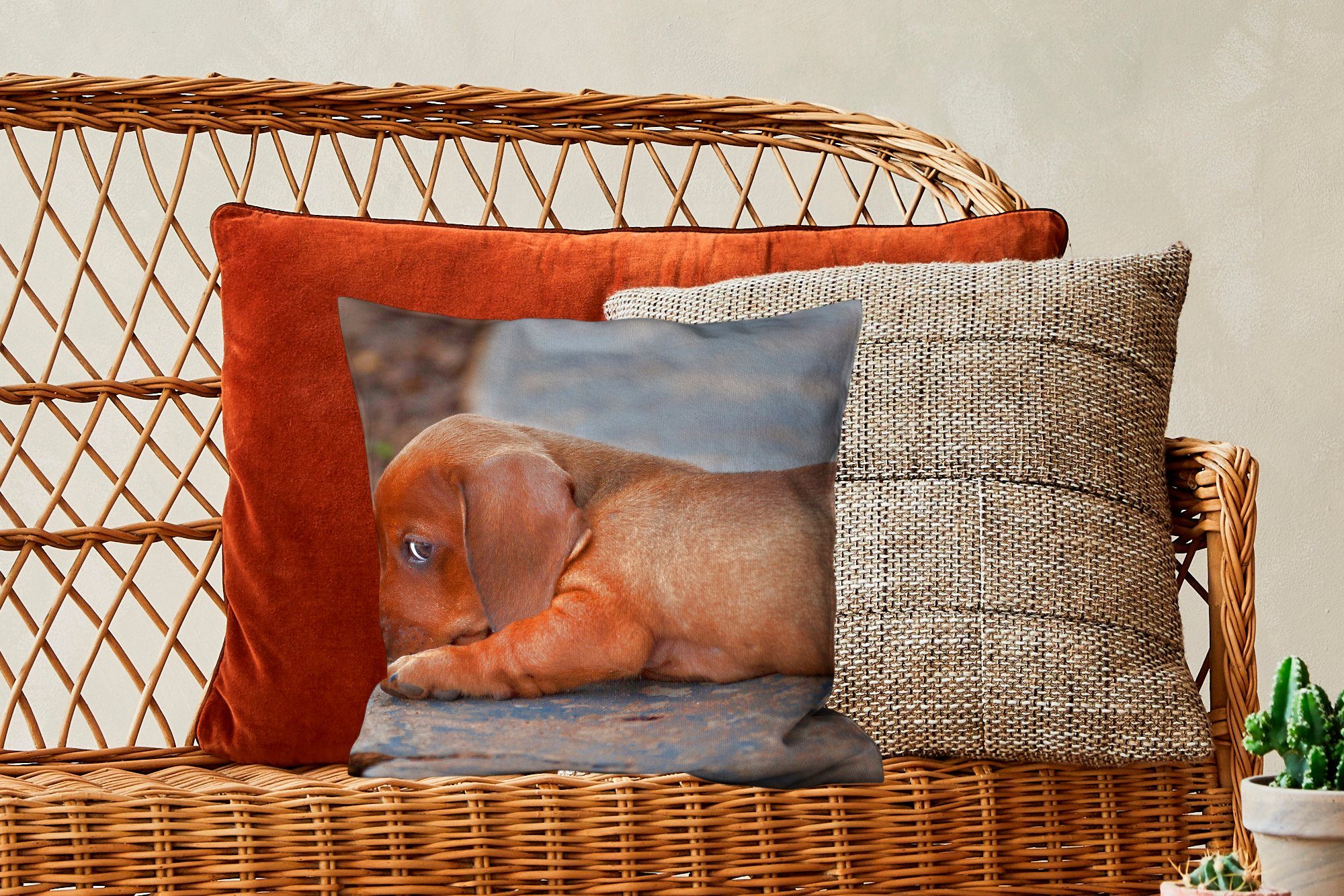 für Dackelwelpe Bürgersteigs, MuchoWow Rande Deko, Sofakissen am Zierkissen des Füllung Schlafzimmer, Wohzimmer, Dekokissen liegt mit