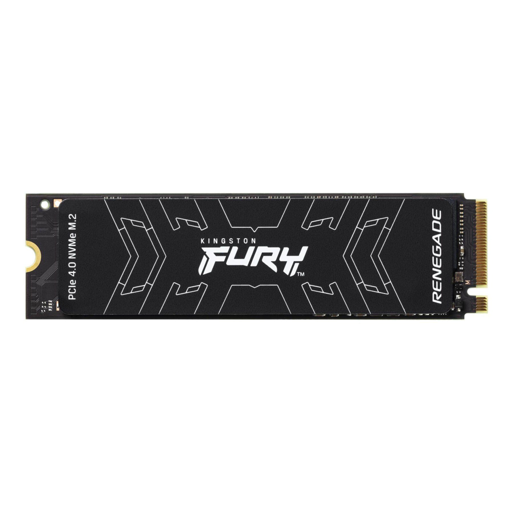 1000G FURY RENEGADE M.2 2280 NVMe SSD interne SSD