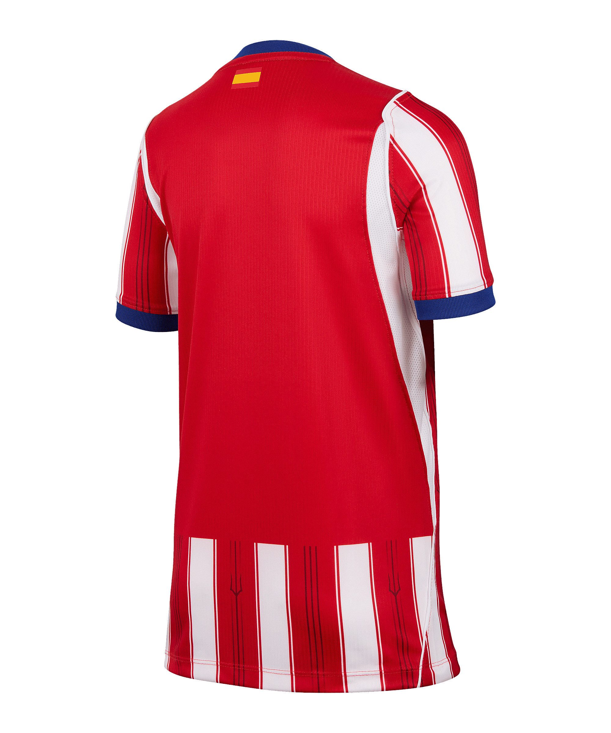 Nike Fußballtrikot Nike Performance Primera Division