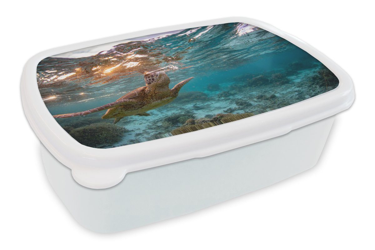 MuchoWow Brotdose, und Jungs für Schildkröte Kinder - weiß Kunststoff, Meer und Erwachsene, Mädchen Lunchbox Brotbox (2-tlg), für Farben, -