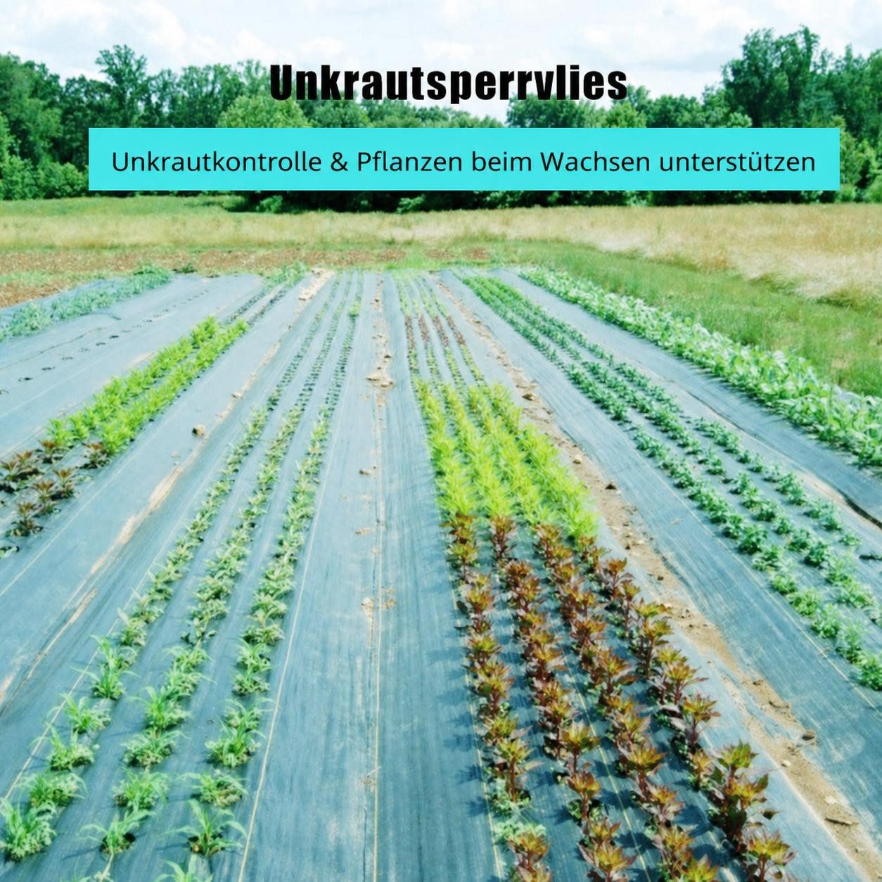 GarveeMore Mulchplatte Starkes Unkrautvlies für Garten & Landschaftsbau – 1.8x91m, 68g/m²