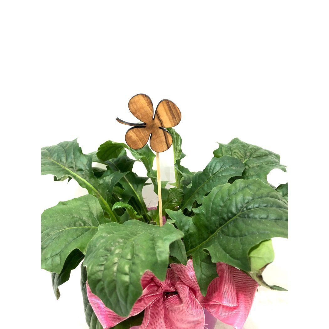 Olivenholz-erleben Blumenkasten Blumenstecker aus Olivenholz Kleeblatt (1 St) | Blumenkästen