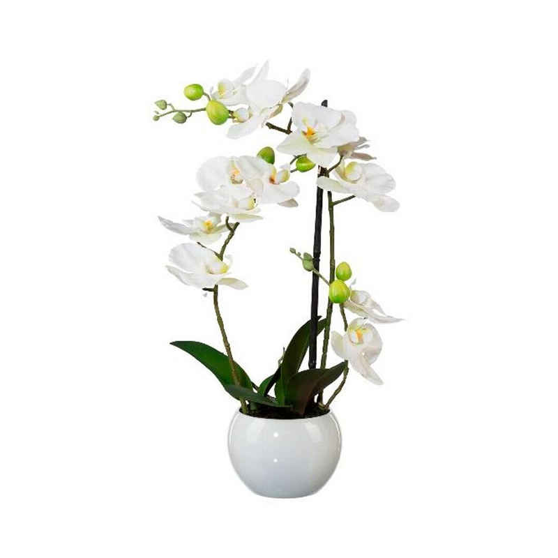 Kunstorchidee »Phalaenopsis 42cm Kunstpflanze weiß«, Gasper, Höhe 0.00 cm