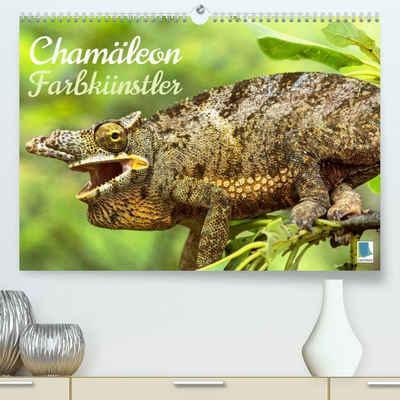 CALVENDO Wandkalender Chamäleon: Farbkünstler (Premium, hochwertiger DIN A2 Wandkalender 2023, Kunstdruck in Hochglanz)