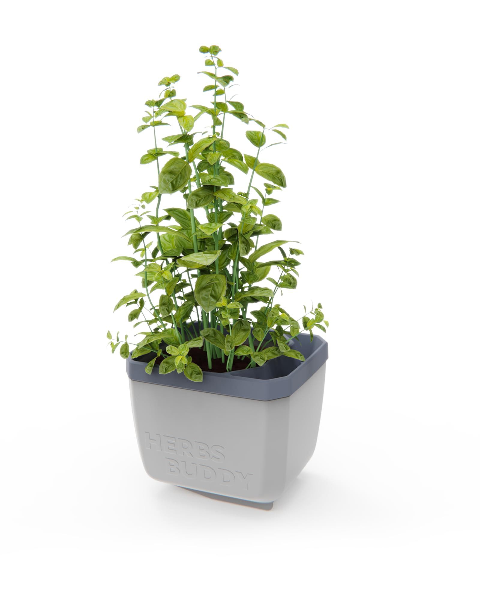 Gusta Garden Kräutertopf KRÄUTERFREUND (Einzelprodukt, Einzelprodukt) günstig online kaufen