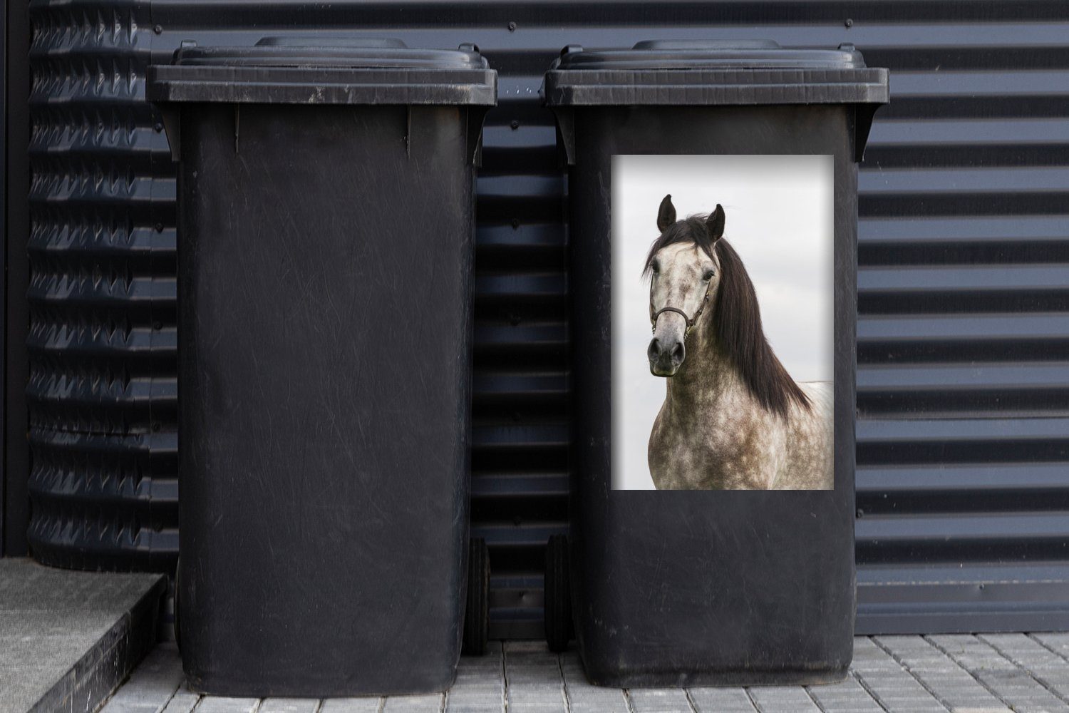 Andalusier Wandsticker Pferd - Halfter Abfalbehälter Mülleimer-aufkleber, (1 Mülltonne, MuchoWow Sticker, Grau - Container, St), -