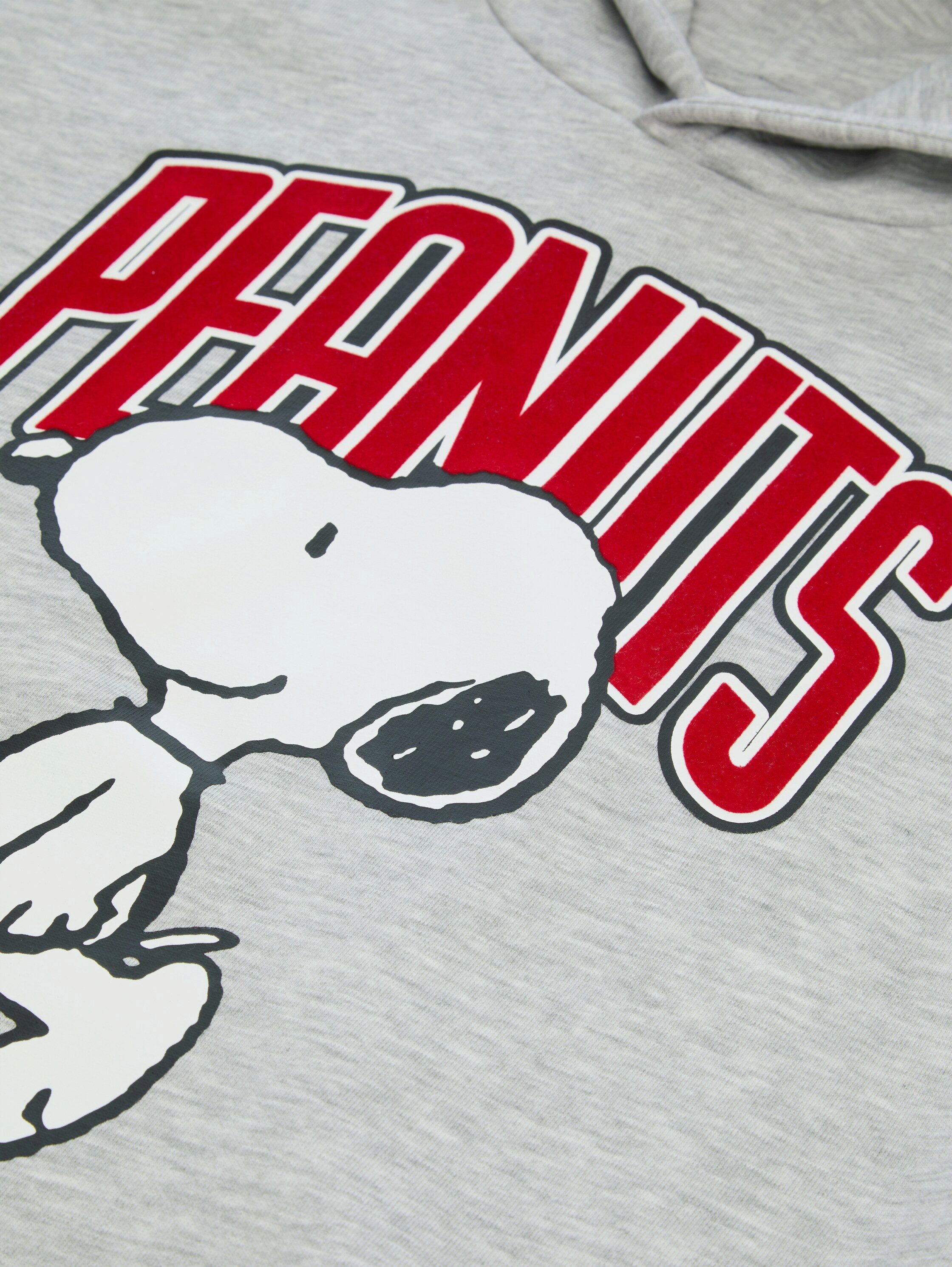 TOM TAILOR Kapuzensweatshirt mit Peanut-Print / für boys
