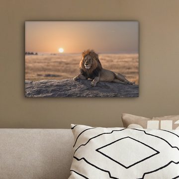 OneMillionCanvasses® Leinwandbild Löwe - Sonne - Afrika, (1 St), Wandbild Leinwandbilder, Aufhängefertig, Wanddeko, 30x20 cm