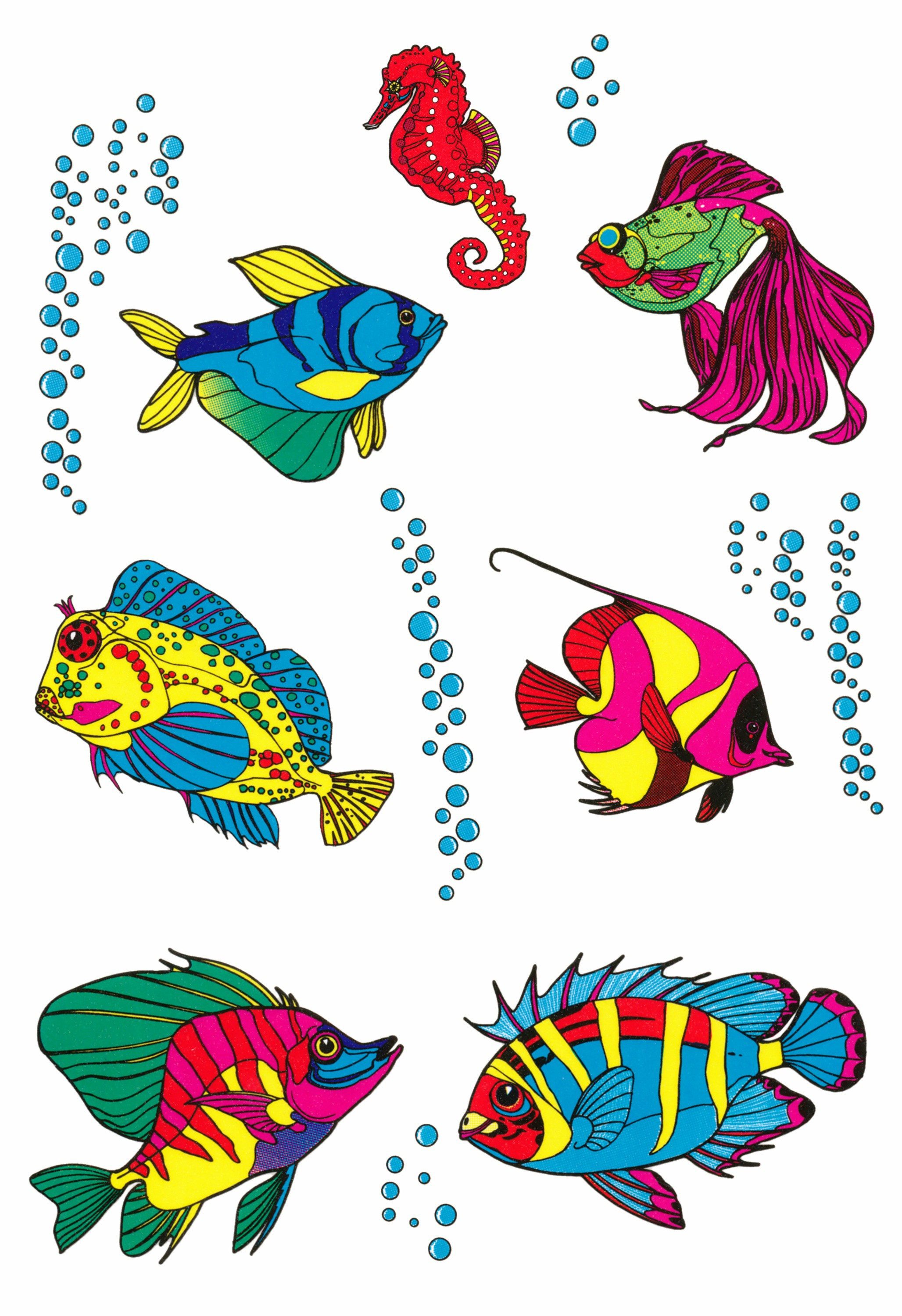 Hermann Schütz Aufkleber Aufkleber Fische 300 x 200 mm bunt