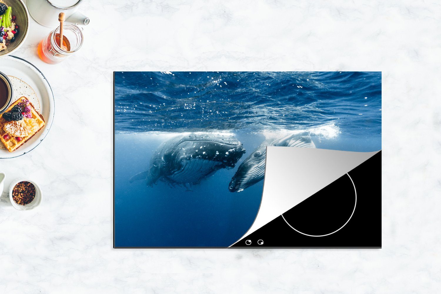 Seite, cm, Schutz (1 küche, Seite 81x52 Vinyl, an Induktionskochfeld Ceranfeldabdeckung tlg), schwimmen Zwei die Herdblende-/Abdeckplatte MuchoWow für Buckelwale