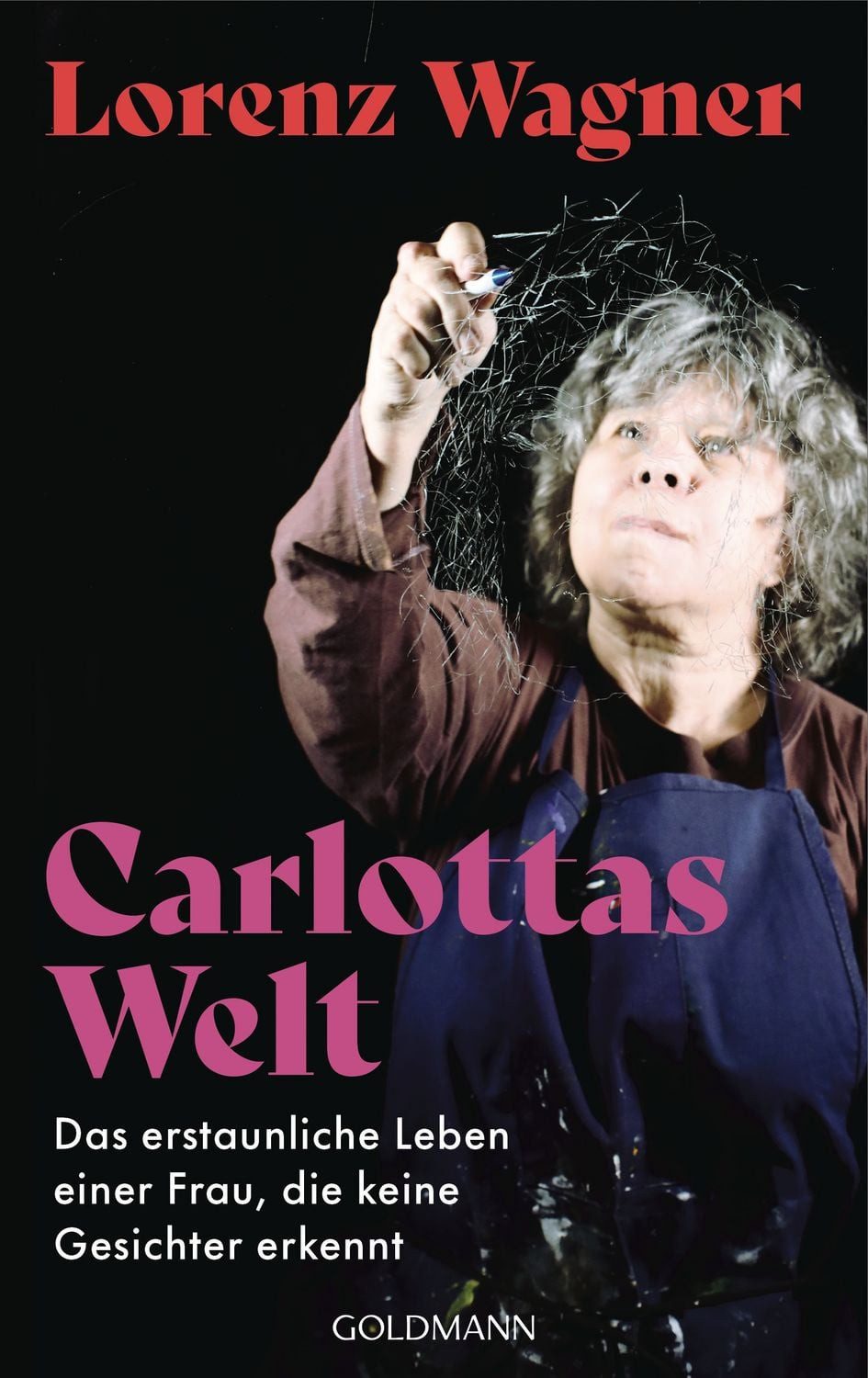 Carlottas Welt / Lorenz Wagner, Das erstaunliche Leben einer Frau, die keine Gesichter erkennt