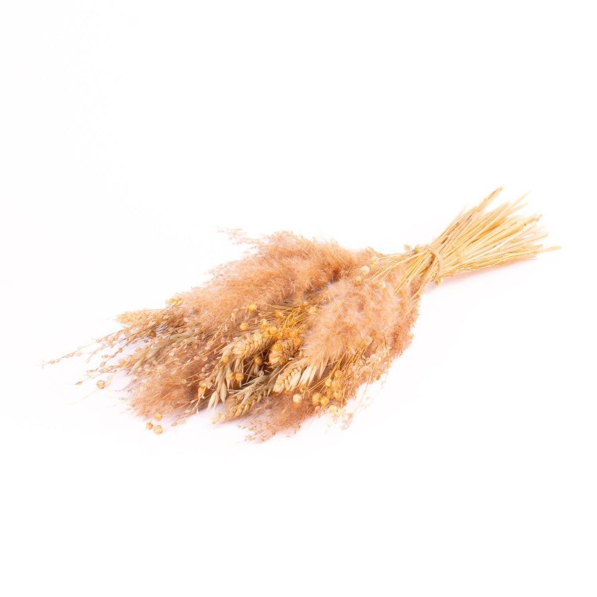 Trockenblume Trockenstrauß EISTLA, Natur, 50cm, Ø23cm, INNA-Glas, Höhe 50.0 cm