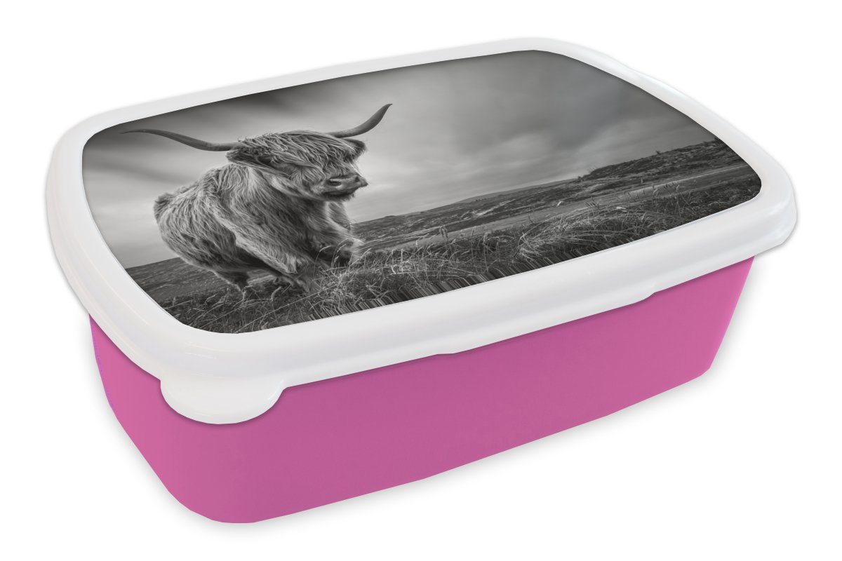 MuchoWow Lunchbox Kühe - Schottische Hochlandkühe - Natur - Tiere - Schwarz und weiß, Kunststoff, (2-tlg), Brotbox für Erwachsene, Brotdose Kinder, Snackbox, Mädchen, Kunststoff rosa