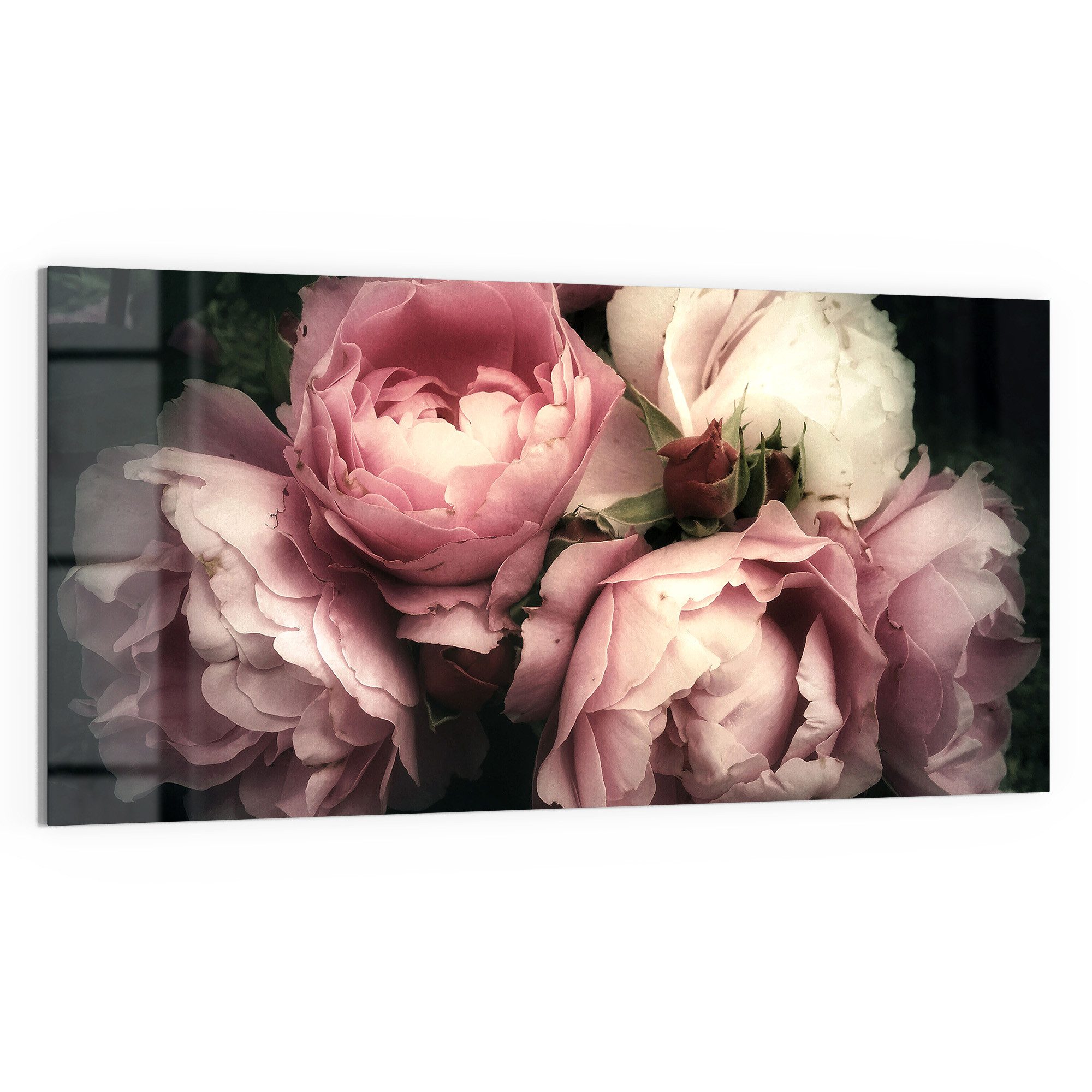 DEQORI Glasbild 'Nostalgische Blüte', 'Nostalgische Blüte', günstig online kaufen