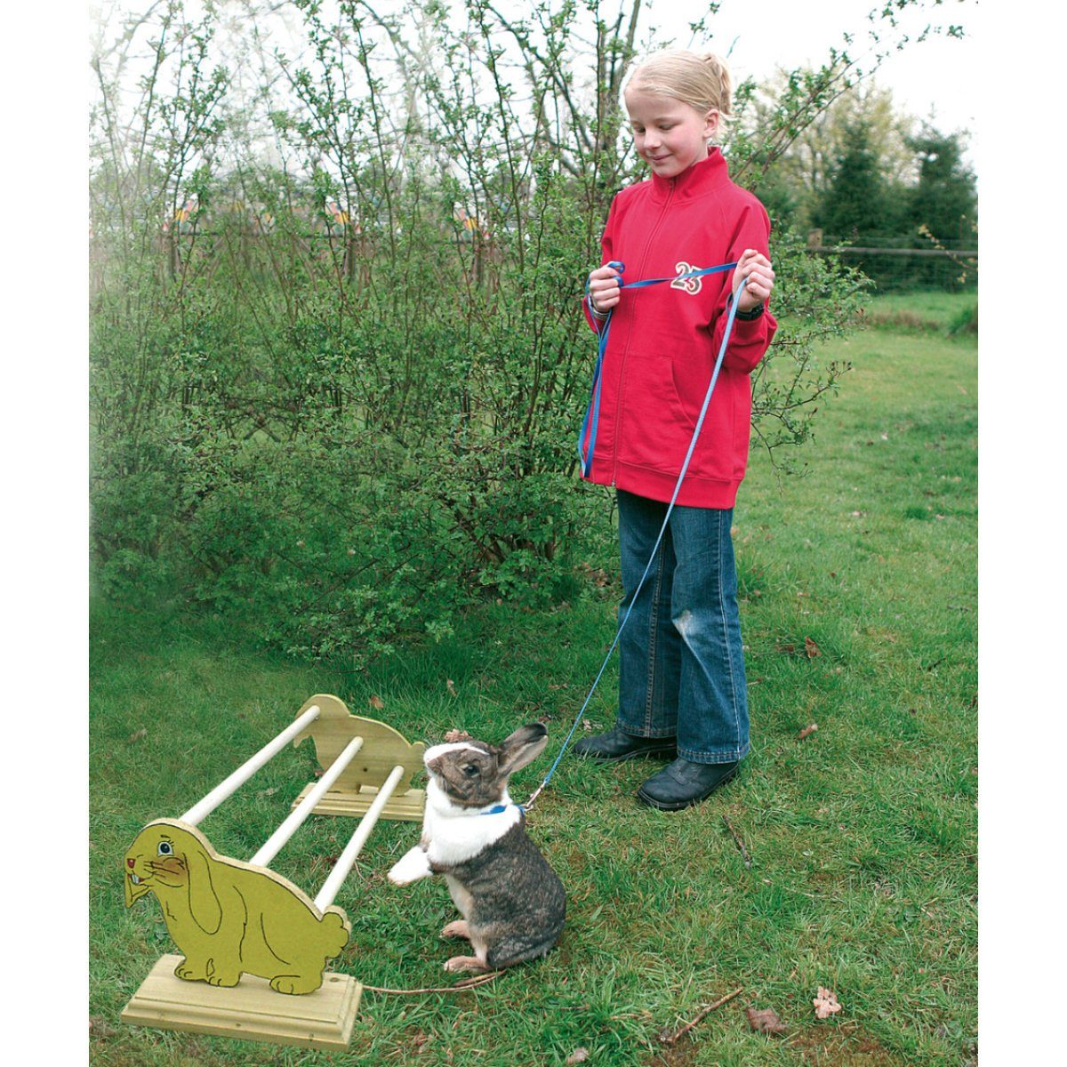 Karlie Agility-Slalom Bunny Sports Hopp 1