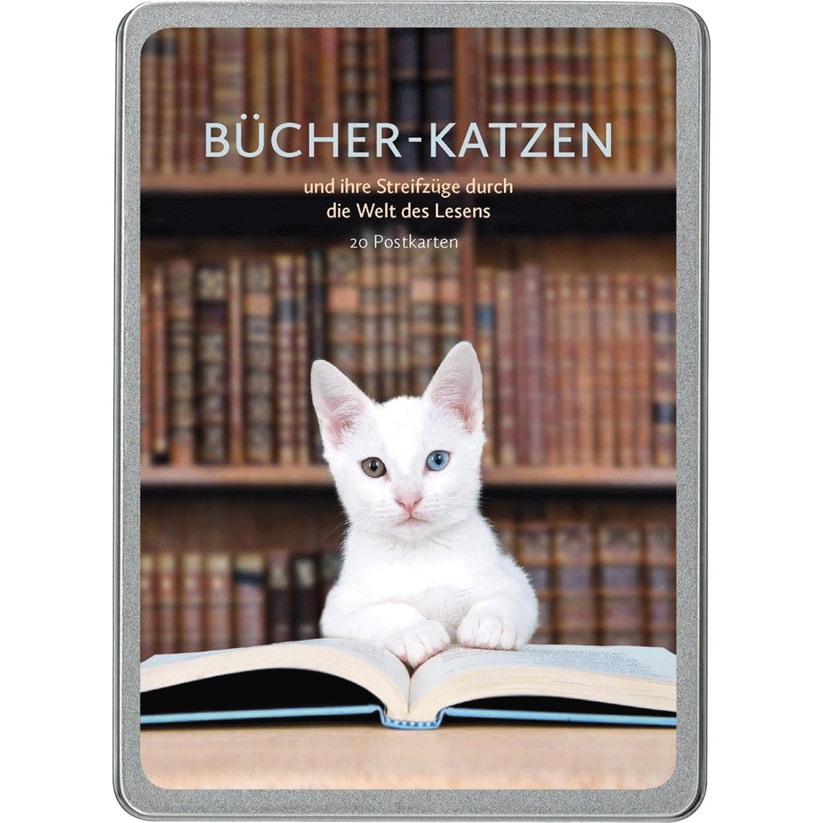 Postkarte Bücher-Katzen: und ihre Streifzüge durch die Welt des Lesens