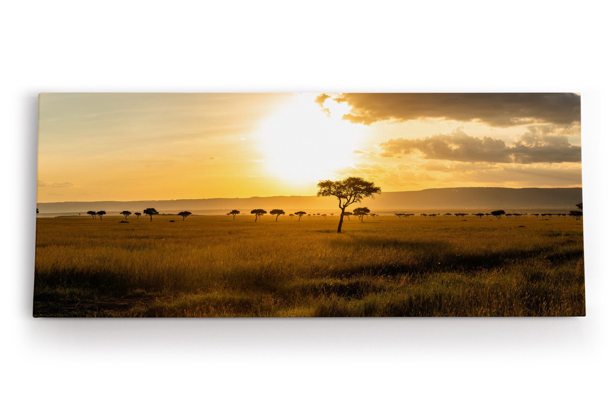 Leinwandbild Afrikanische Landschaft Burkea Africana Bäume Sonnenuntergang