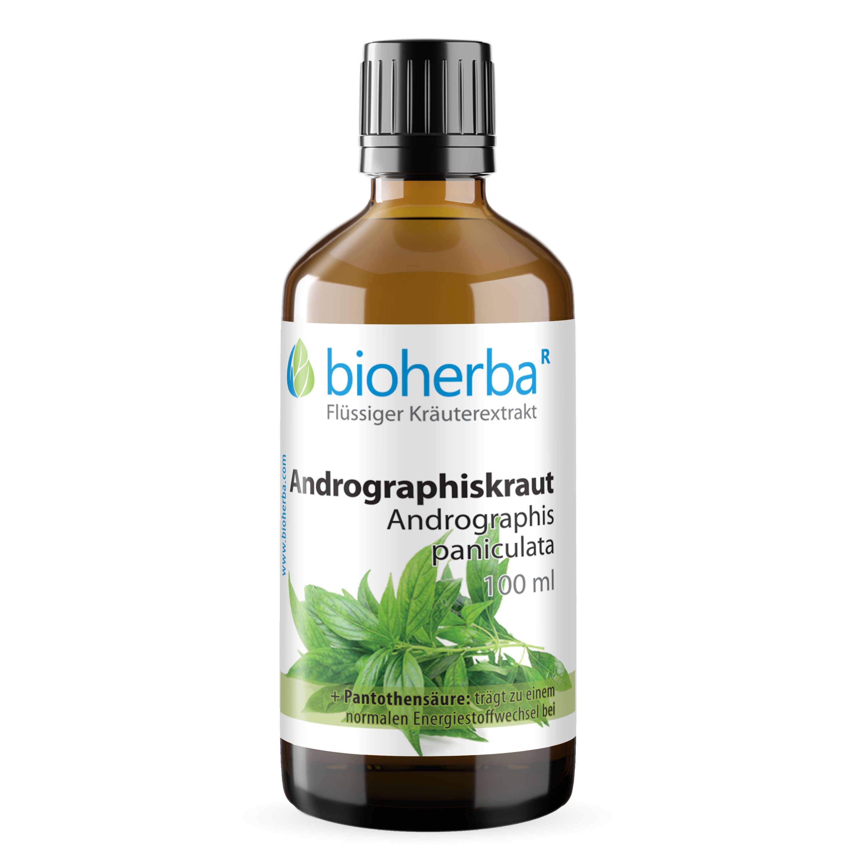 BIOHERBA R Bioherba Andrographiskraut Tropfen Tinktur 100 ml Tropfen, 1 er
