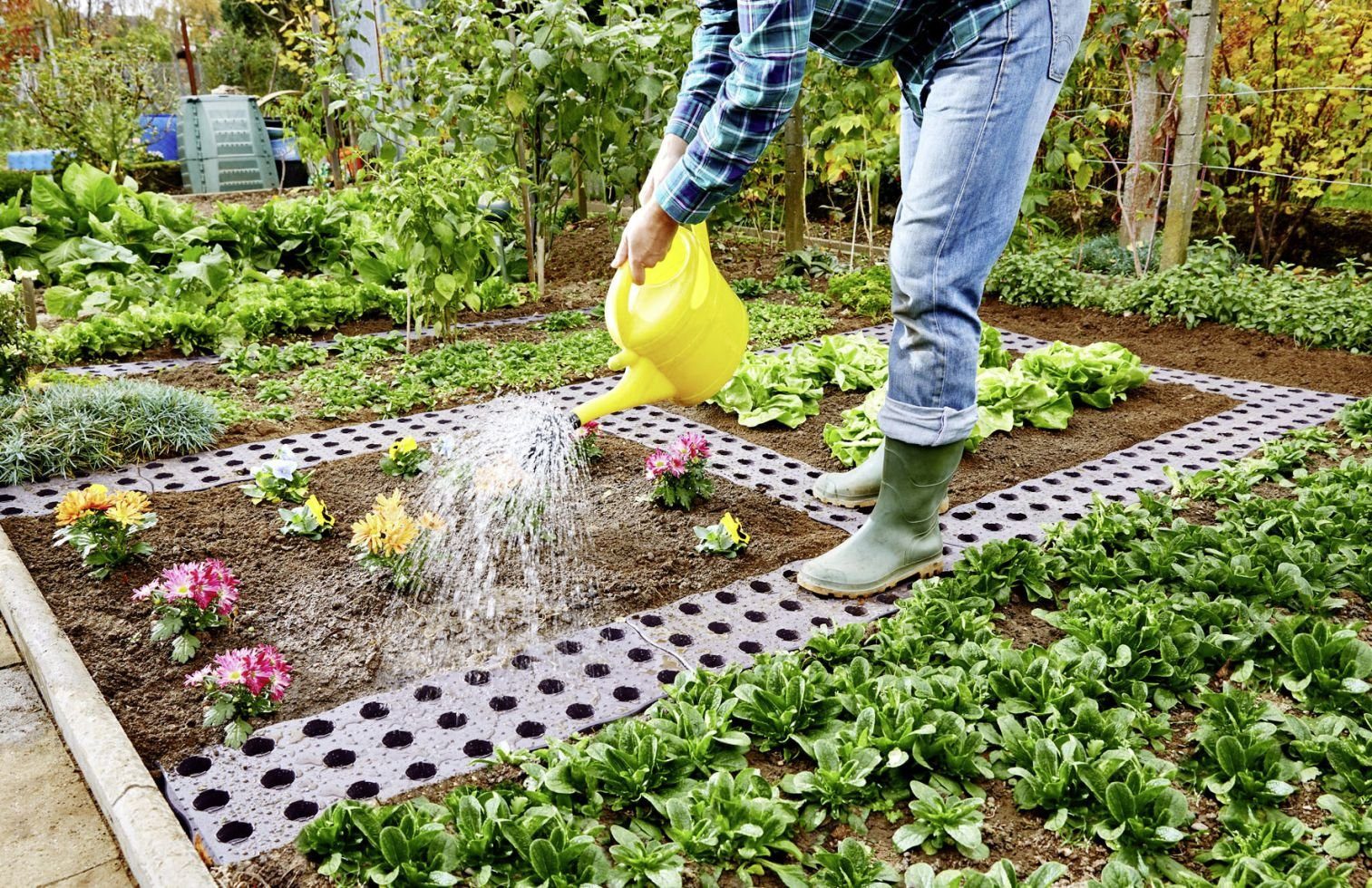 GARANTIA Trittsteine Garantia Beetplatte Maxi 70 x 24 cm