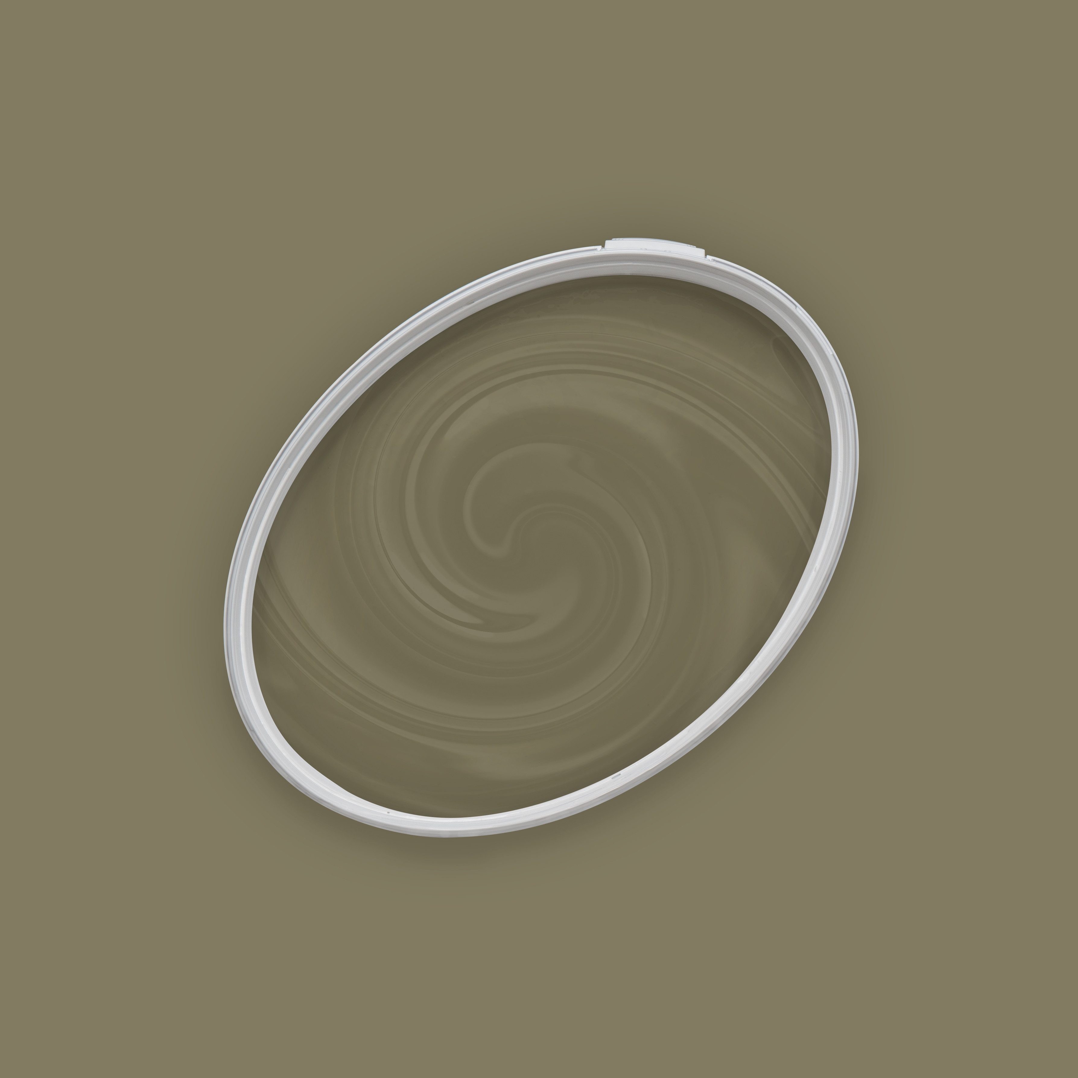 A.S. Création Wand- und Deckenfarbe The Color Kitchen Wandfarbe Grün "Ordinary Olive" TCK4013 5 l