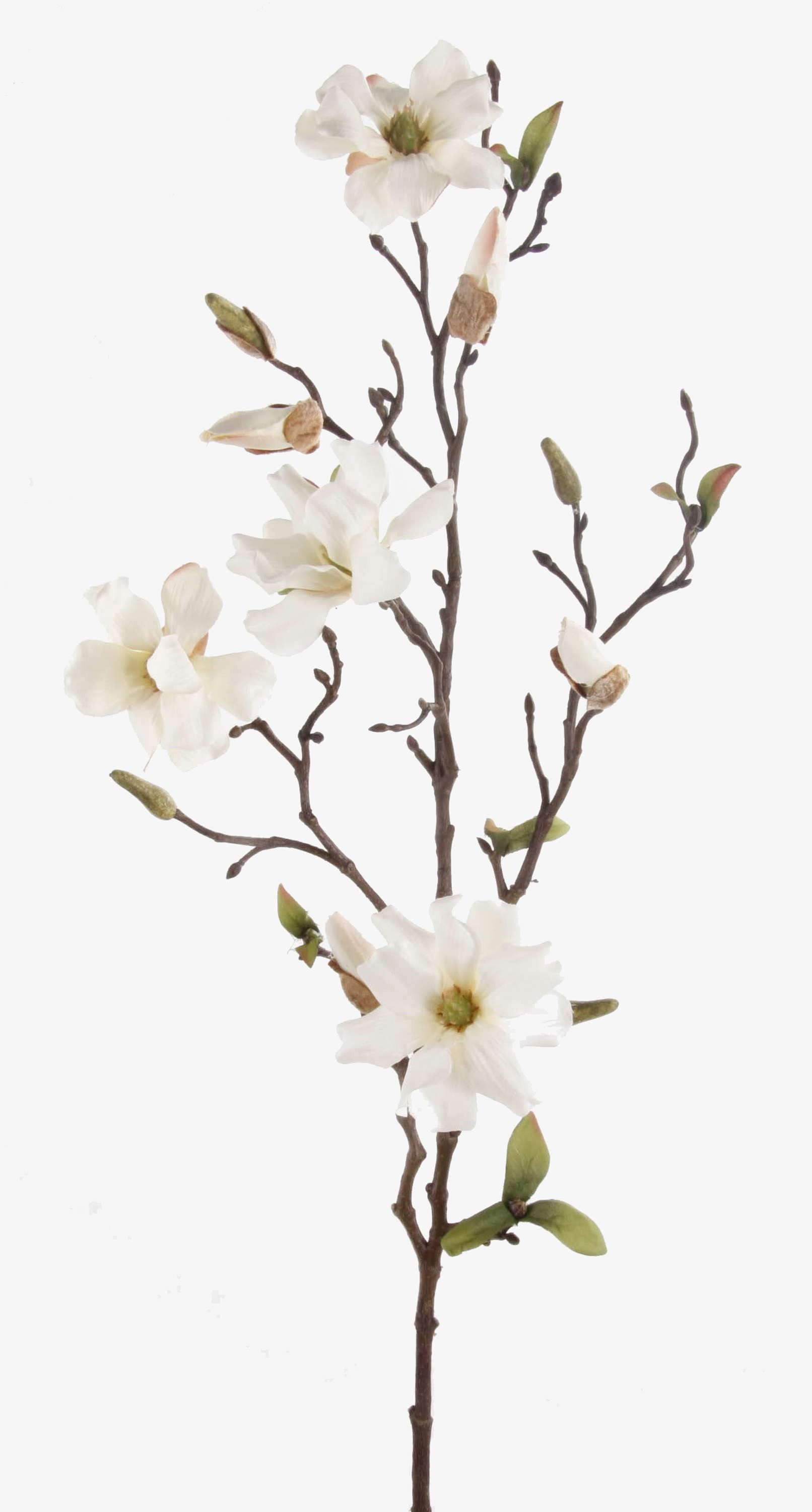 Kunstzweig Kunstblume Magnolienzweig LILO, 4 Blüten, Knospen, Creme - weiß, 75cm Magnolie, artplants, Höhe 75.0 cm