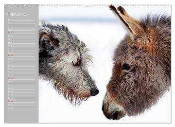 CALVENDO Wandkalender Kleiner Esel. Boldewyn mit seinen Freunden (Premium, hochwertiger DIN A2 Wandkalender 2023, Kunstdruck in Hochglanz)