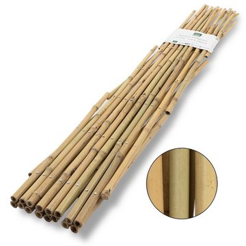 Floordirekt Rankgitter Bambus, Bambus, Erhältlich in 5 Größen, Rankhilfe