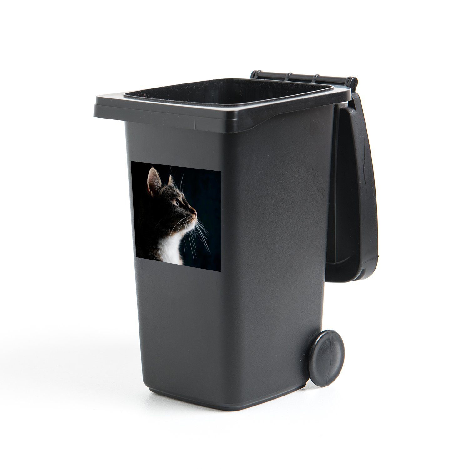 MuchoWow Wandsticker Hauskatze (1 St), Mülltonnen-Aufkleber, günstig online kaufen