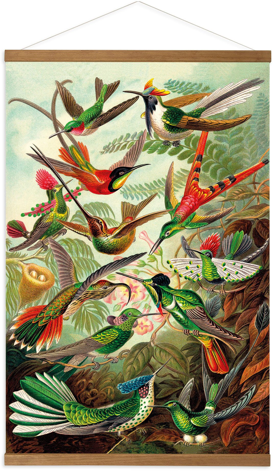 Art for the home Leinwandbild Hummingbirds, (1 St), Luxus Kakemono Leinen Wandposter 80x60cm
