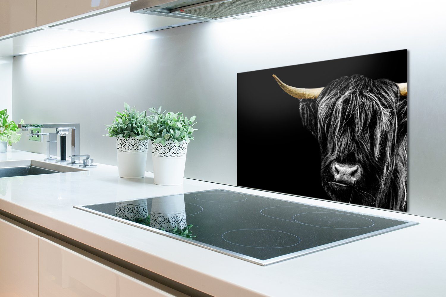 Tiere - cm, Küchenrückwand Herdblende Schottischer Highlander MuchoWow - Mantel küchen Wandschutz, aus - Gold - Kuh, Temperaturbeständig 60x40 (1-tlg),