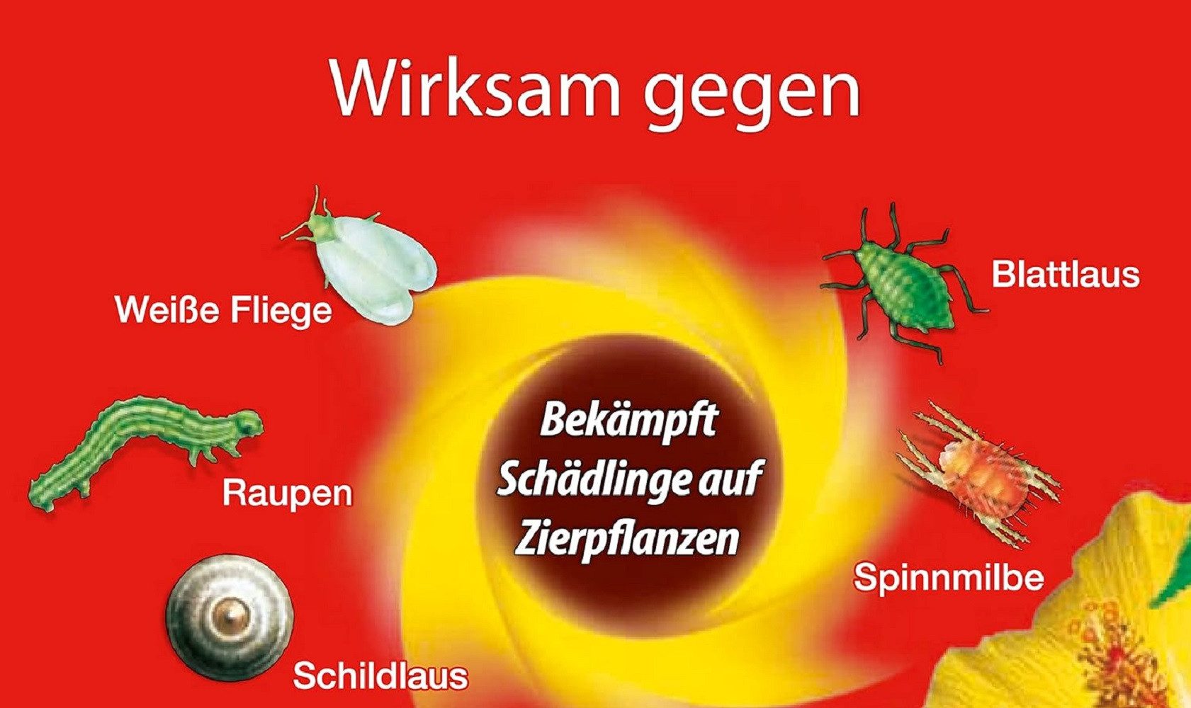 Substral Celaflor Insektenspray Substral Celaflor Schädlingsfrei Careo Zierpflanzen 800 ml
