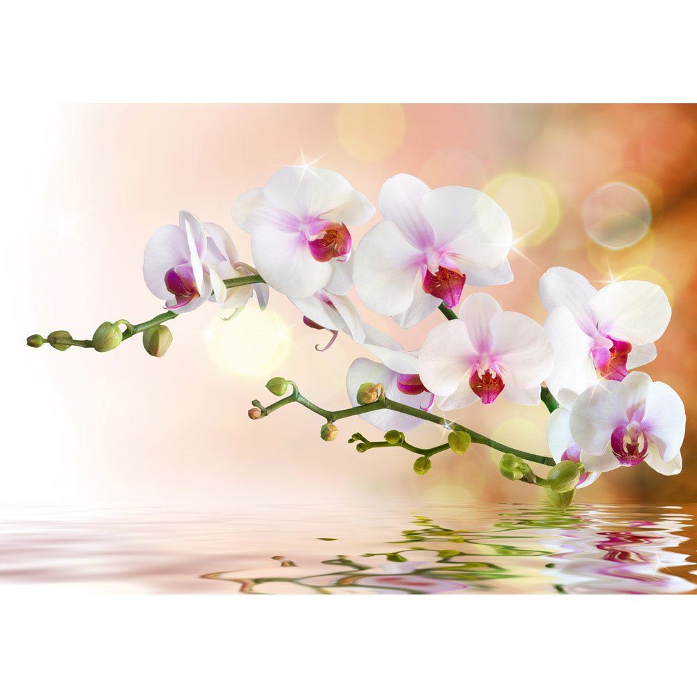 Pflanzen liwwing no. liwwing 200, Berge Natur Pink Orchidee Blumen Abstrakt Fototapete Fototapete Weiß