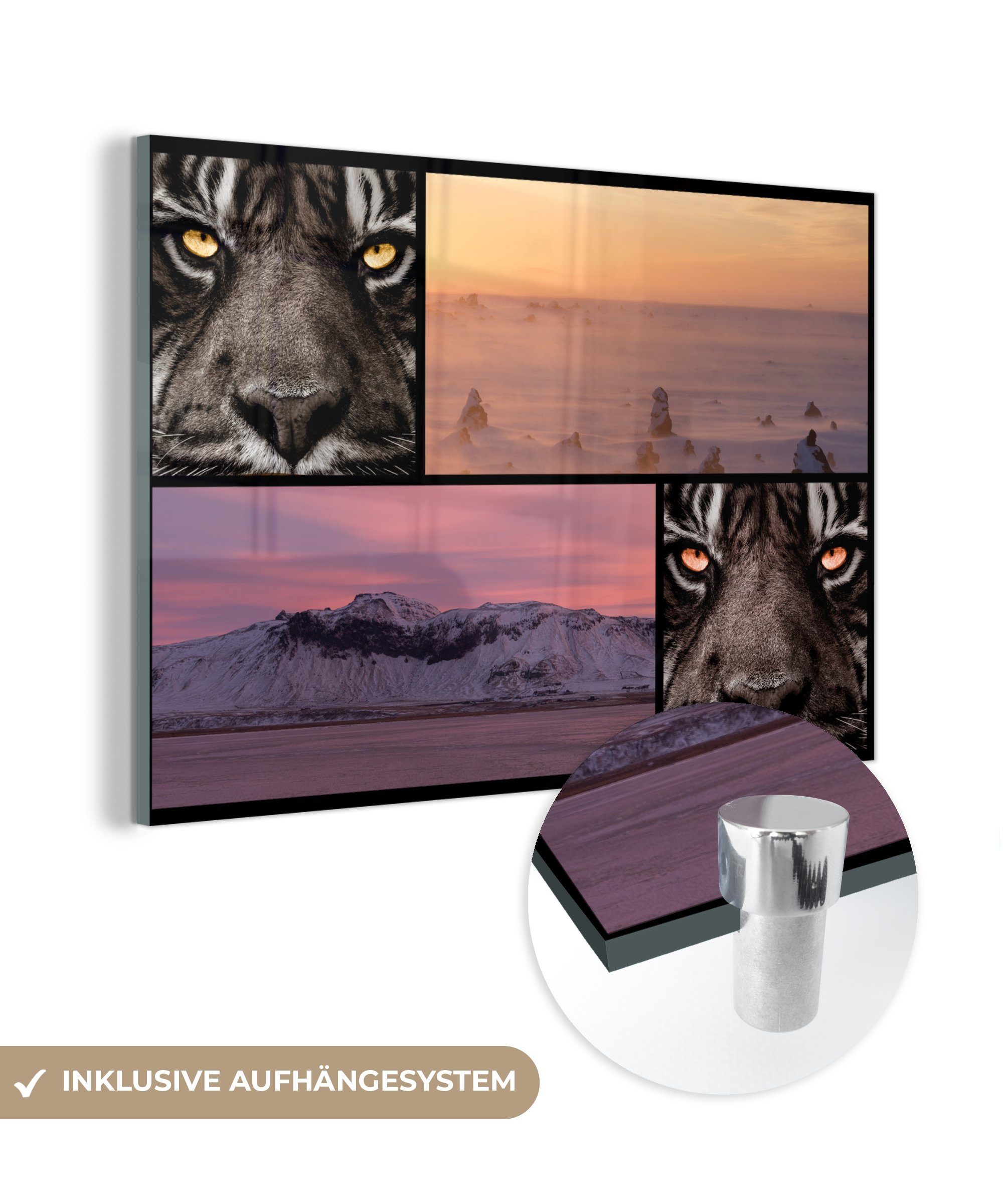 MuchoWow Acrylglasbild Tiger - Collage - Natur - Sonnenuntergang, (1 St), Acrylglasbilder Wohnzimmer & Schlafzimmer | Bilder