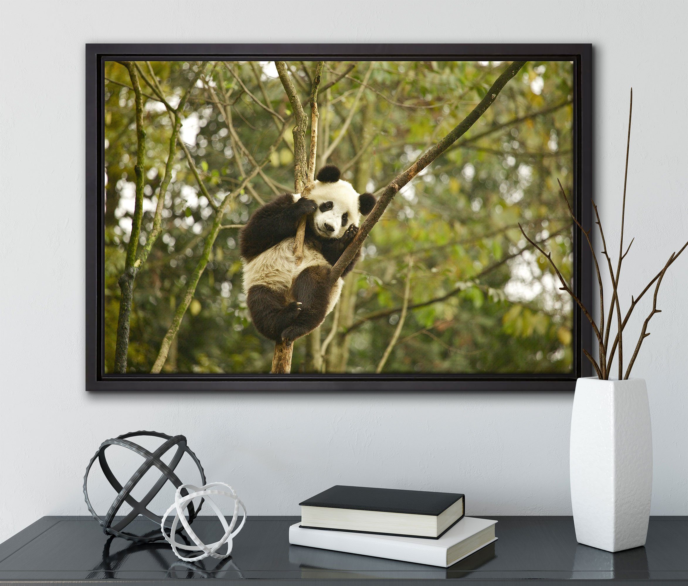 niedlicher gefasst, Baum, (1 Pandabär auf Pixxprint Zackenaufhänger Wanddekoration St), fertig in Schattenfugen-Bilderrahmen einem inkl. Leinwandbild bespannt, Leinwandbild