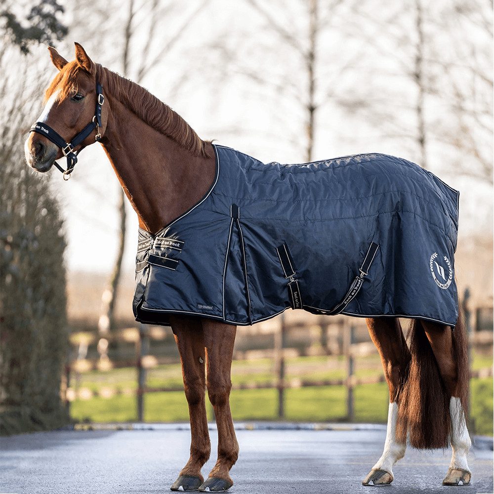 Back on track Pferde-Stalldecke Back on Track Stalldecke Millie 100g